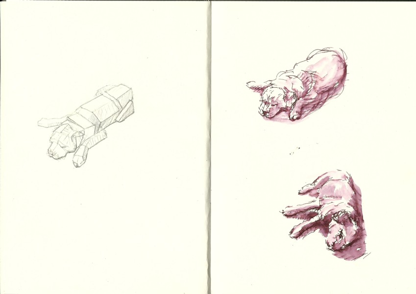 Simplification Drawing Example The volume simplification class, and my last ever drawings of Freddy ...