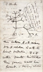 Charles_Darwin_notebook)1837-8