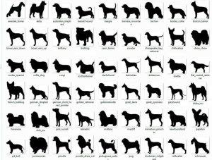 dog-breed-silhouettes