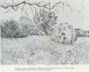 field of grass with a  round clipped shrub 1888 van gogh reed pen brown ink